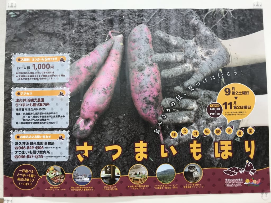 津久井浜農園芋掘りポスター