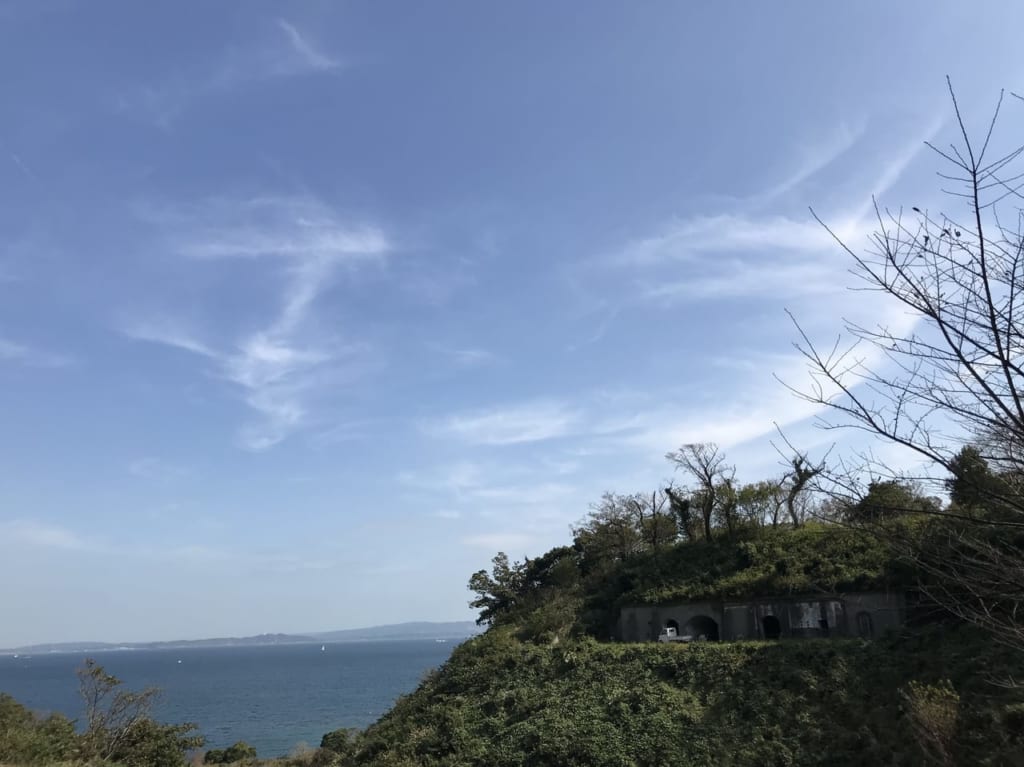 ファーマシーガーデン浦賀景色１