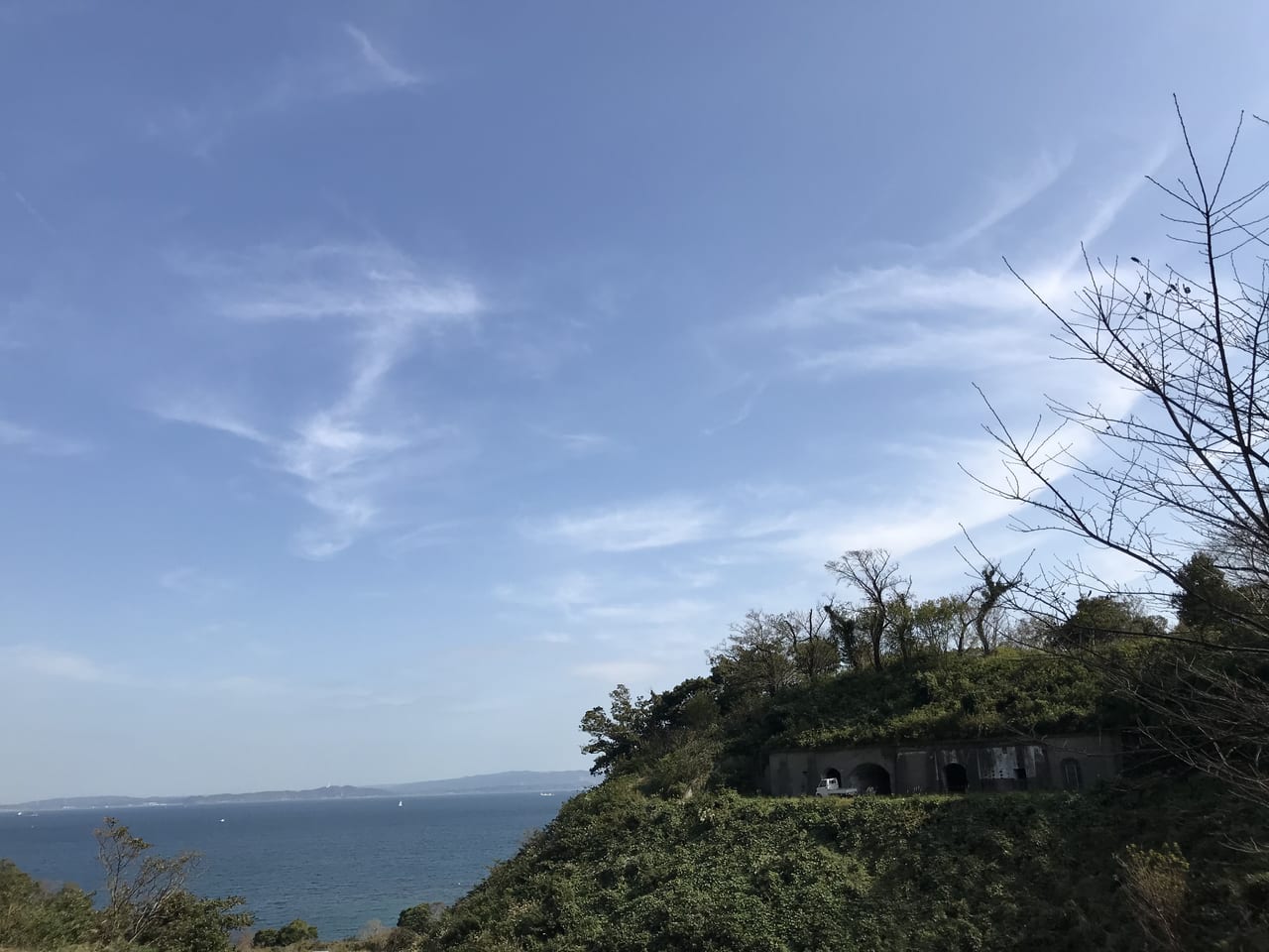 ファーマシーガーデン浦賀景色１