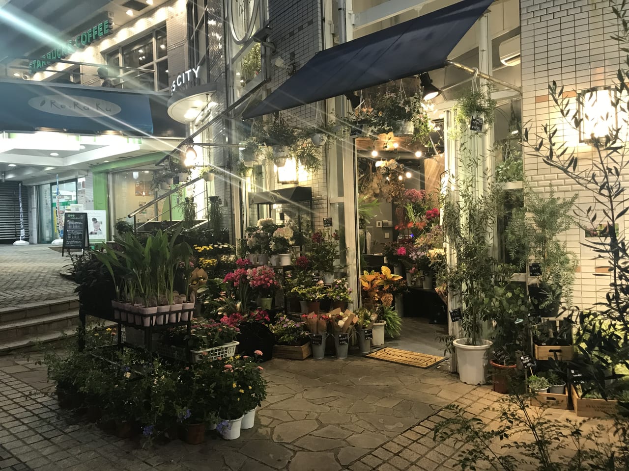 横須賀市 横須賀モアーズシティに新しい花屋さんがオープンしました 号外net 横須賀市 三浦市