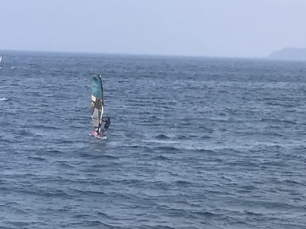 津久井浜海岸ウィンドサーフィン