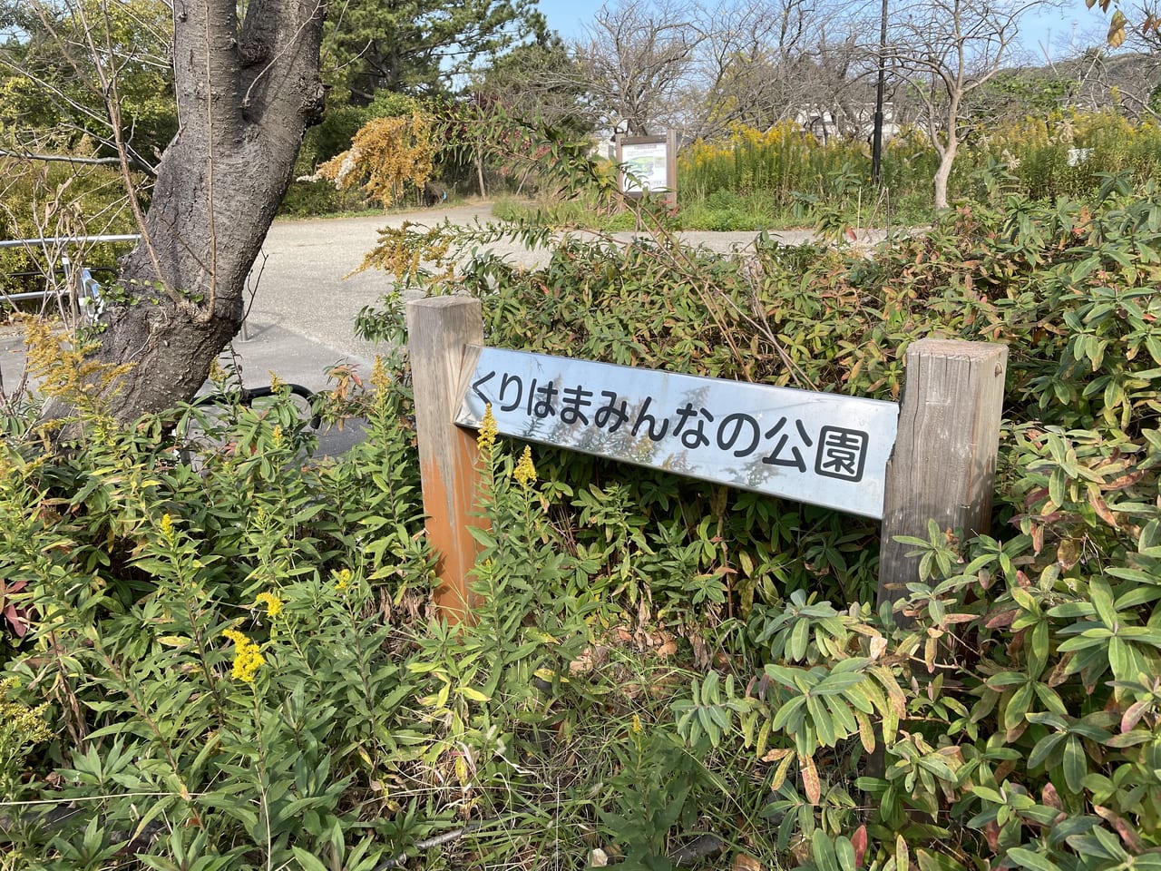 横須賀市 くりはまみんな公園 が12月7日以降利用停止になるそうです 号外net 横須賀市