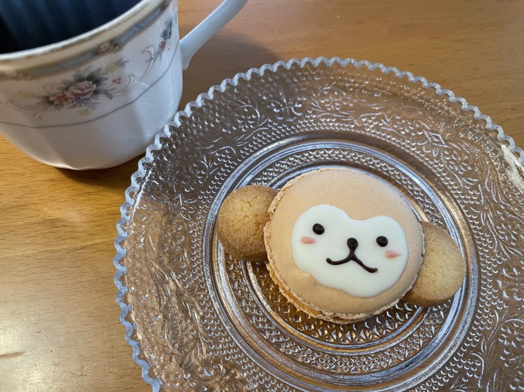 サルマカロン実食