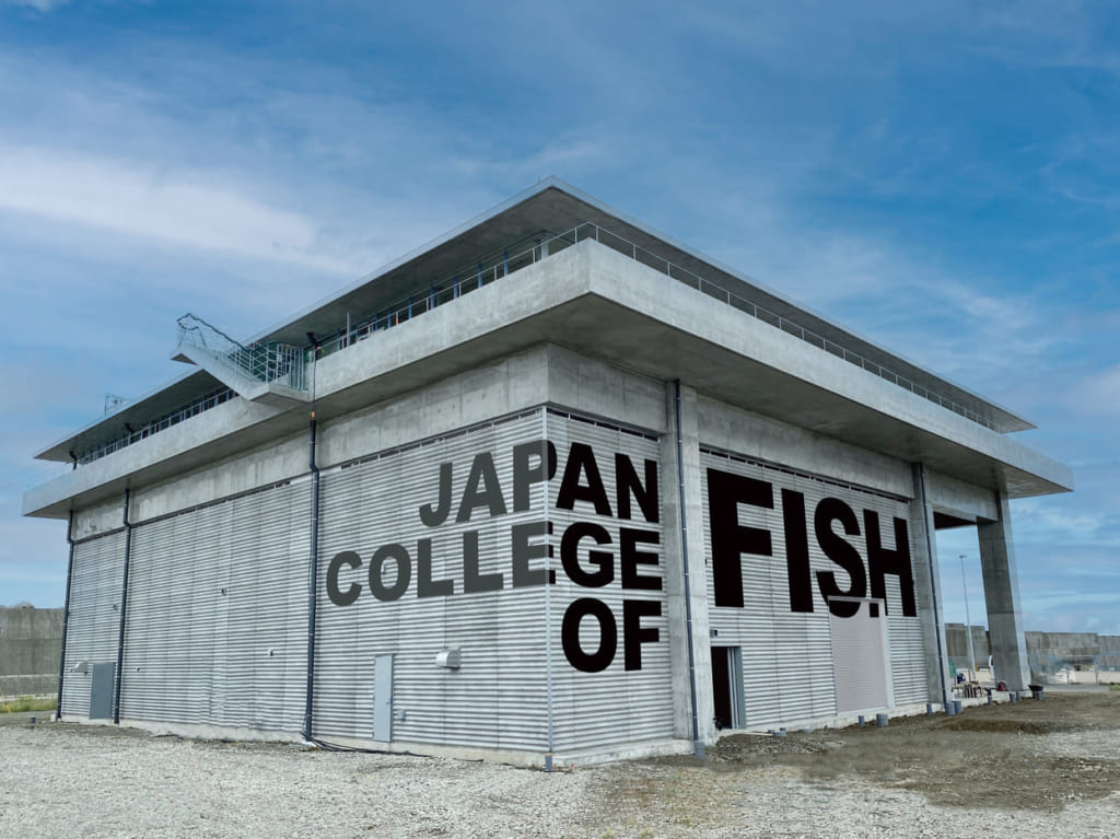 日本さかな専門学校