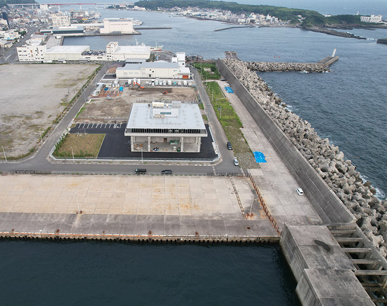 三崎漁港の日本さかな専門学校