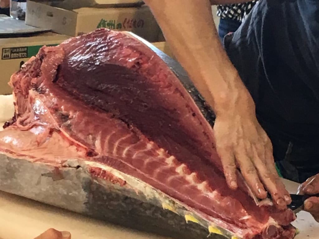 マグロ解体ショー