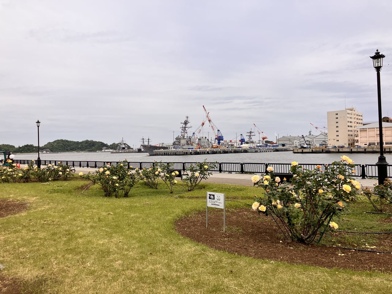 ローズフェスタ