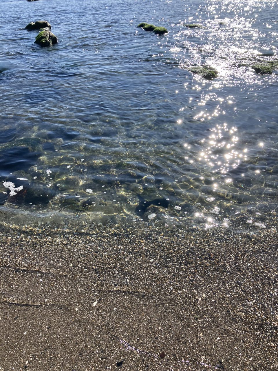 海